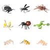 Realistisches Insektenmodell-Set Für Kinder Pädagogisches Und Sammlerstück Spielzeugsammlung