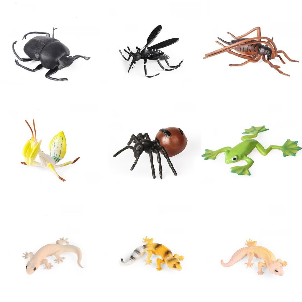 Realistisches Insektenmodell-Set Für Kinder Pädagogisches Und Sammlerstück Spielzeugsammlung