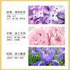 Fifth Avenue Ladies Lasting Perfume Light Fragrance Production Vietnam