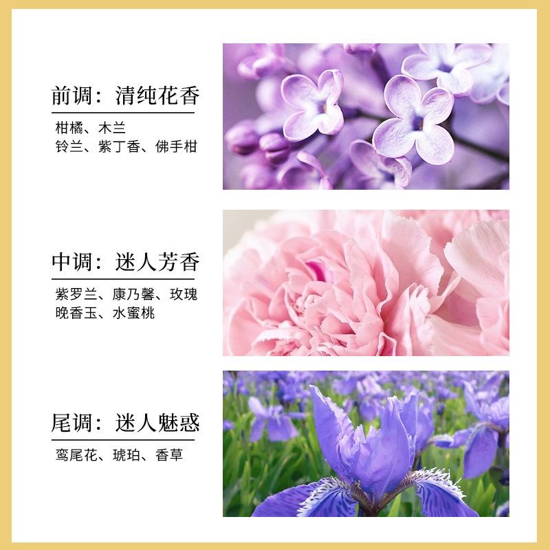 Fifth Avenue Ladies Lasting Perfume Light Fragrance Production Vietnam