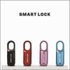 Compact Fingerprint Padlock for Backpacks, Luggage, Dorms, and Cabinets