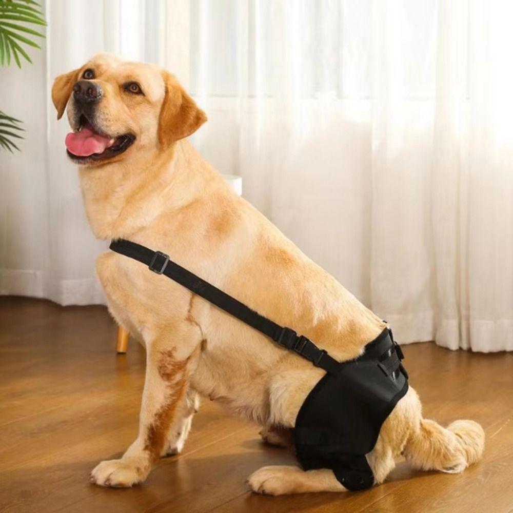 Adjustable Dog Knee Brace Comfortable Dog Leg Support Brace Pet Joint Protectors Wound Protection