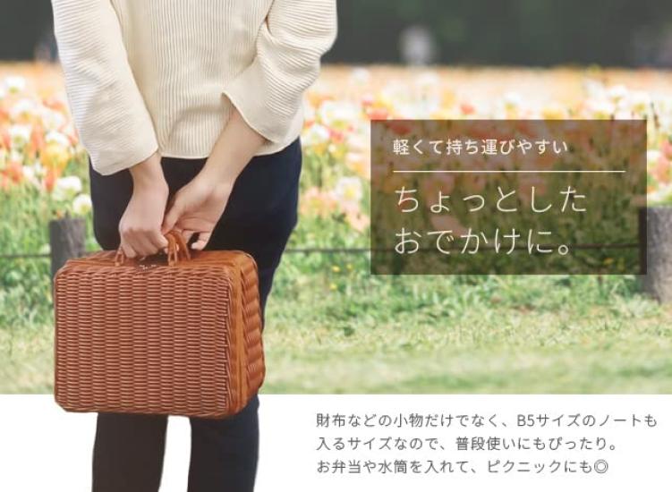 Suitcase Company Basket Bag, Trunk, Medium, Picnic, Wicker, Storage, Small Item Basket, GPT, White