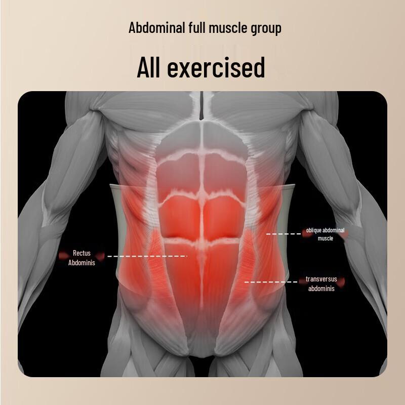 SKG G3 Luxury Waist and Abdominal Massager CN plug (adapter included)