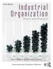 The Industrial Organization : Theory and Practice (International Student Edition) Book
