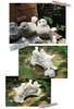 Garden ornament bird welcome decoration gardening yard cute small simple white statue.