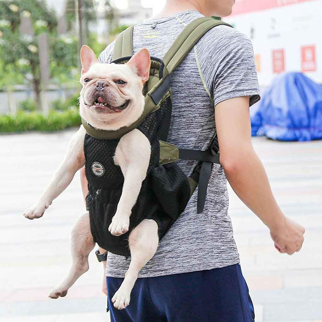 frenchie carrier backpack
