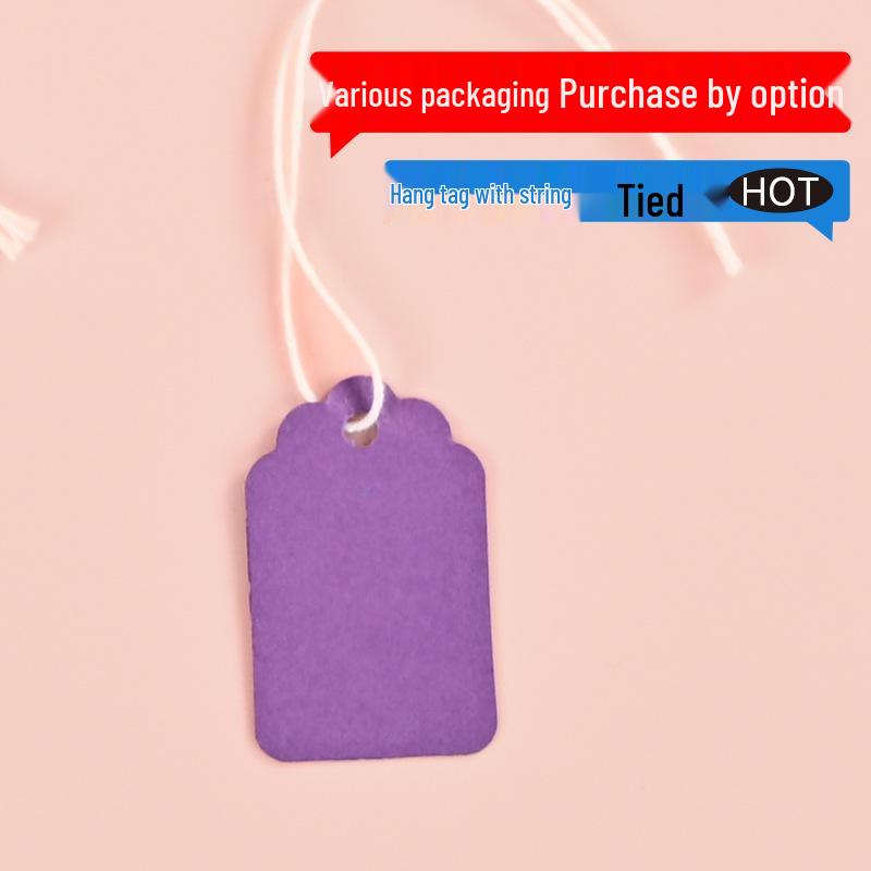 Color Adhesive Jewelry Hang Tags with String - Blank Paper Labels for Handwriting