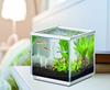 GEX Goldfish Genki Cube Set, Aquarium Size: Approx. W20 x D20 x H20cm, Water Capacity: Approx. 6L, White Frame Width: 20cm