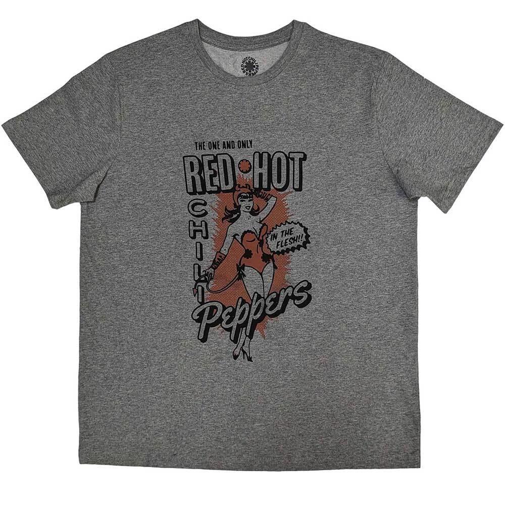 Унисекс Футболка Red Hot Chili Peppers: Во плоти (большой) 4XL