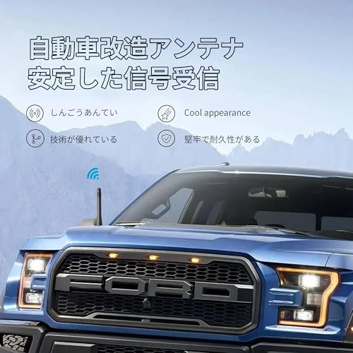 REYLNXR Kurze Antenne Autoantenne Radioantenne Signalverstärkung Automobilantenne Universell (Design C)