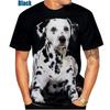 Beautiful Dalmatians 3D Printed T-Shirt Dalmatians Fashion Men Women's Personality Hip Hop Casual T Shirt Male Streetwear Tops