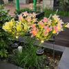 7 Heads Solar Flowers Garden Lights Waterproof Solar Powered LED Outdoor Flower Decor LED Lights Ground Spike Yard Decoration