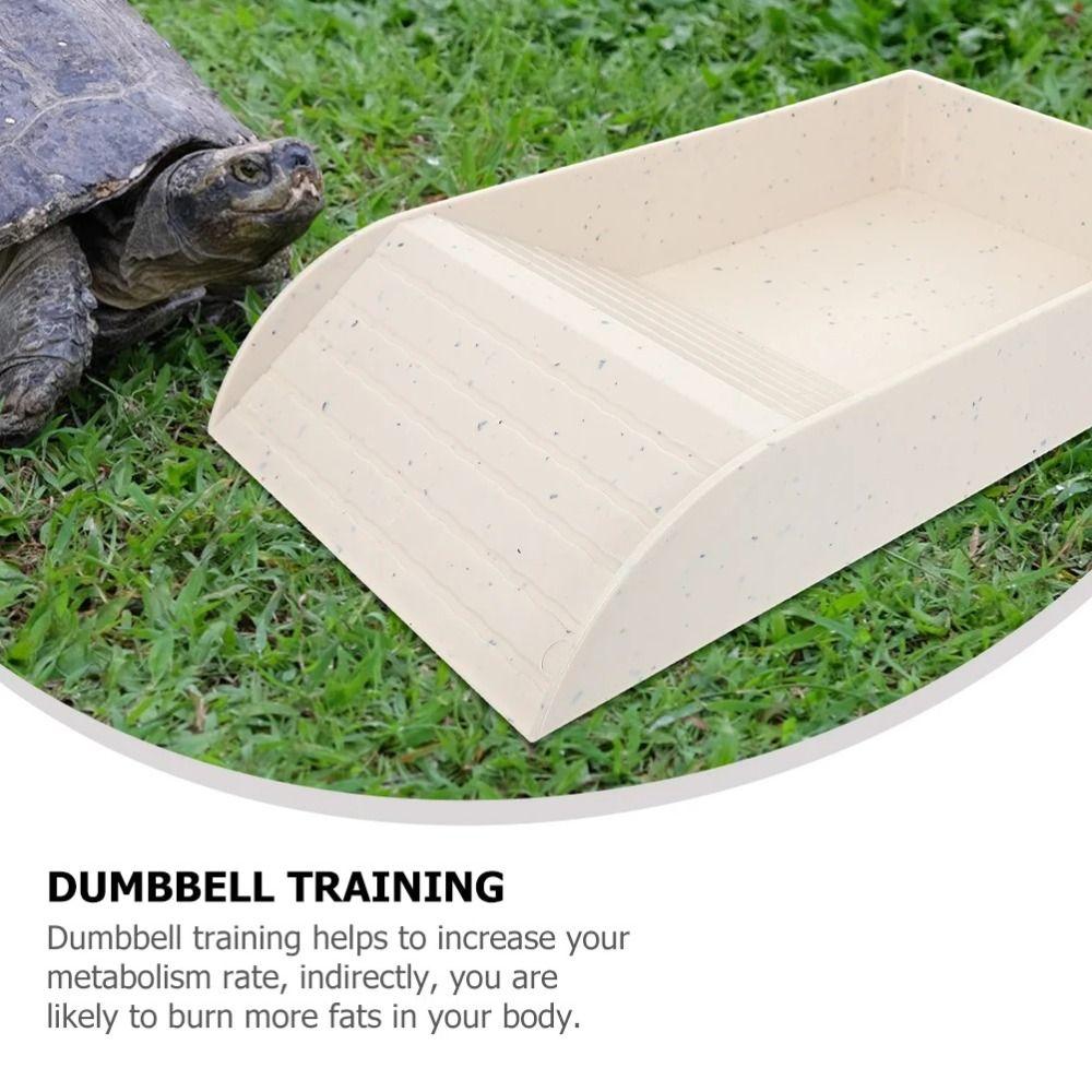 Smooth Tortoise Feeder Burr-free Turtle Feeding Basin Reptile Water Bowl  Snake