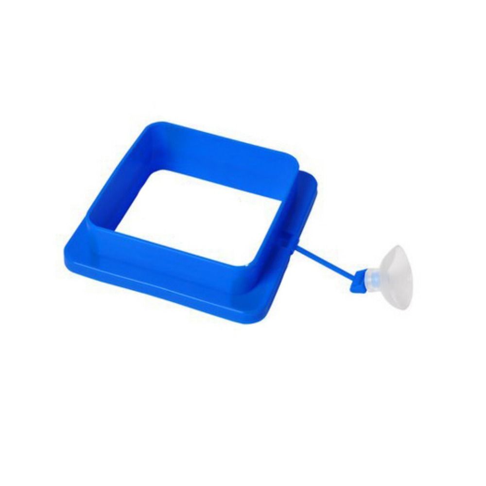 Thicken Floating Feeding Ring Suction Cup Floating Food Tray Fish Feeding Ring  Fish Pond