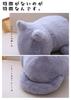 [Suitcase Company] GPT Cat Plush Toy, Fluffy Body Pillow, Cat Merchandise, Cute and Stylish Gift, Black