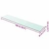 Maison Exclusive - Panneaux d'étagère 2 pcs Verre Transparent 100 x 20 cm