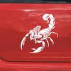 Scorpion Totem Decals Αυτοκόλλητα Αυτοκινήτου Styling Αυτοκόλλητου Αυτοκόλλητου Βινυλίου για Διακόσμηση Αυτοκινήτων