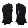 Winter Rainproof Ski Gloves Thermal Touchscreen for Men Women Insulation Extended Wrist Snow Sports Riding Black