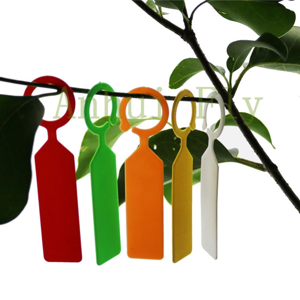 20 Pcs Garden Labels Nursery Garden Label Tag Label Fruit Vegetable Garden Ornaments Decoration Hanging Signs