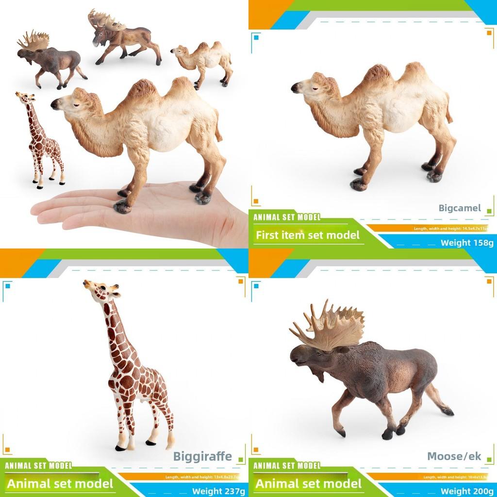 Wildlife Animal Model Set Pvc Camel Giraffe Educational Collectible For Kids Nature Learning