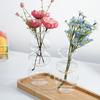 Creative Glass Vase Premium Ball Shaped Bubble Vase Living Room Decoration Rose Lily Glass Vase Home Desktop Flower Bottle Decor