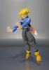 Dragon Ball Z Trunks Color Height 14cm figure S.H.Figuarts -Premium Edition- approx. ABS&PVC