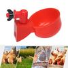5/6/10/12pcs Chicken Drinking Cup Poultry Automatic Drinker Farm Animal Drinking Water Feeder for Chicks Duck Goose Quail