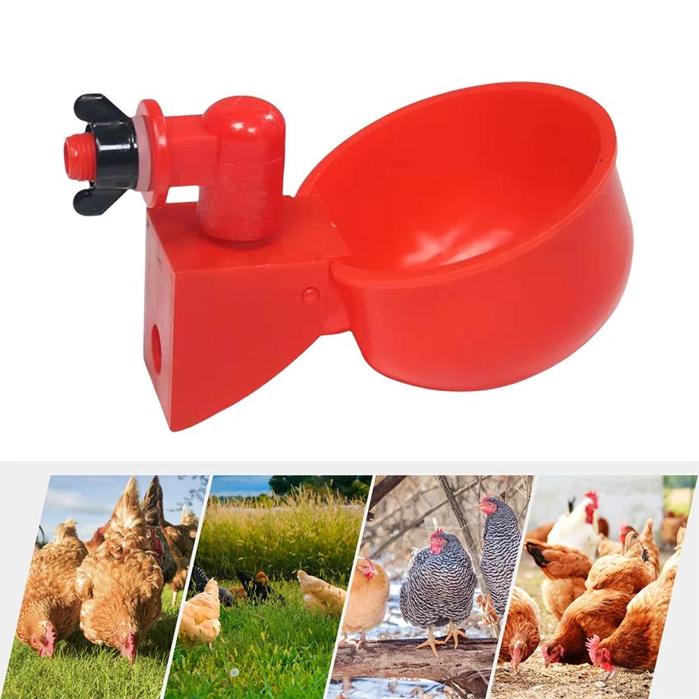 5/6/10/12pcs Chicken Drinking Cup Poultry Automatic Drinker Farm Animal Drinking Water Feeder for Chicks Duck Goose Quail