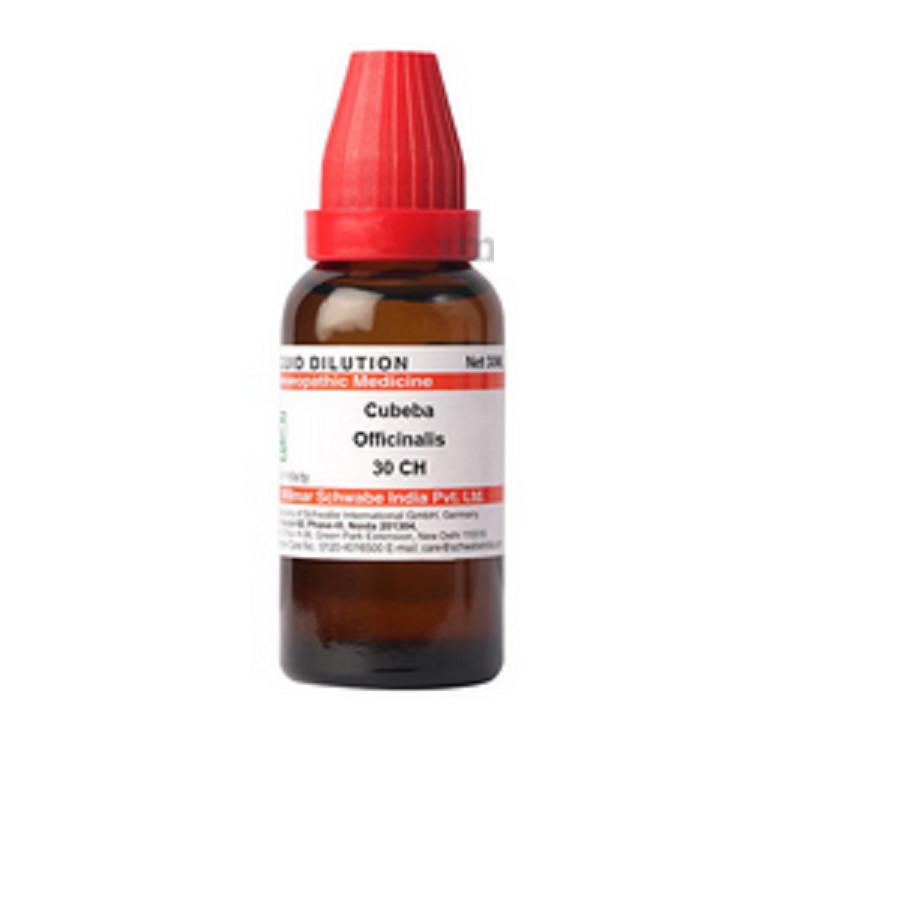 @ Dr Willmar Cubeba Officinalis 30 CH Homeopathic Medicine 30ML UKR234_60%OFF