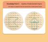 Montessori Geometric Shapes Pegboard Toy for Early Learning and Shape Recognition