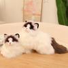 Simulated Ragdoll Cat Doll Sleeping Pillow Doll Doll Kitten Plush Toy Children's Birthday Gift Girl