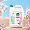 Dettol Reumplere Săpun Antibacterian Hidratant pentru Mâini, 5L