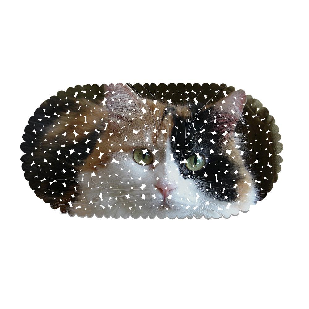 Cute Pet Cat Picture Balcony Bathroom Mat Hydrophobic Non-Slip Door Mat Swimming Pool Public Places Non-Slip Floor Mat