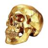 Skull Accessories Gold Skull Bank Cute Skull Decor Halloween Decoration Money Storage Home Decor Item Golden 1Pcs - DSW