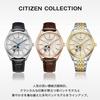 CITIZEN COLLECTION NH9111-11B Mechanical Open Heart Automatic JDM Leather Strap Japan Import Genuine