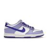 Nike Dunk Low Blueberry DZ4456-100