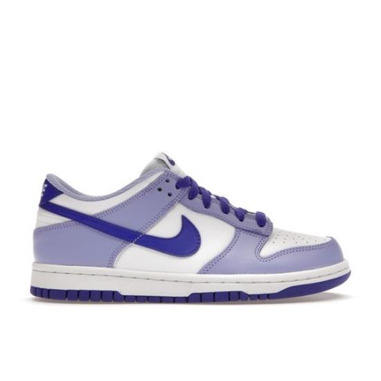 Nike Dunk Low Blueberry DZ4456-100