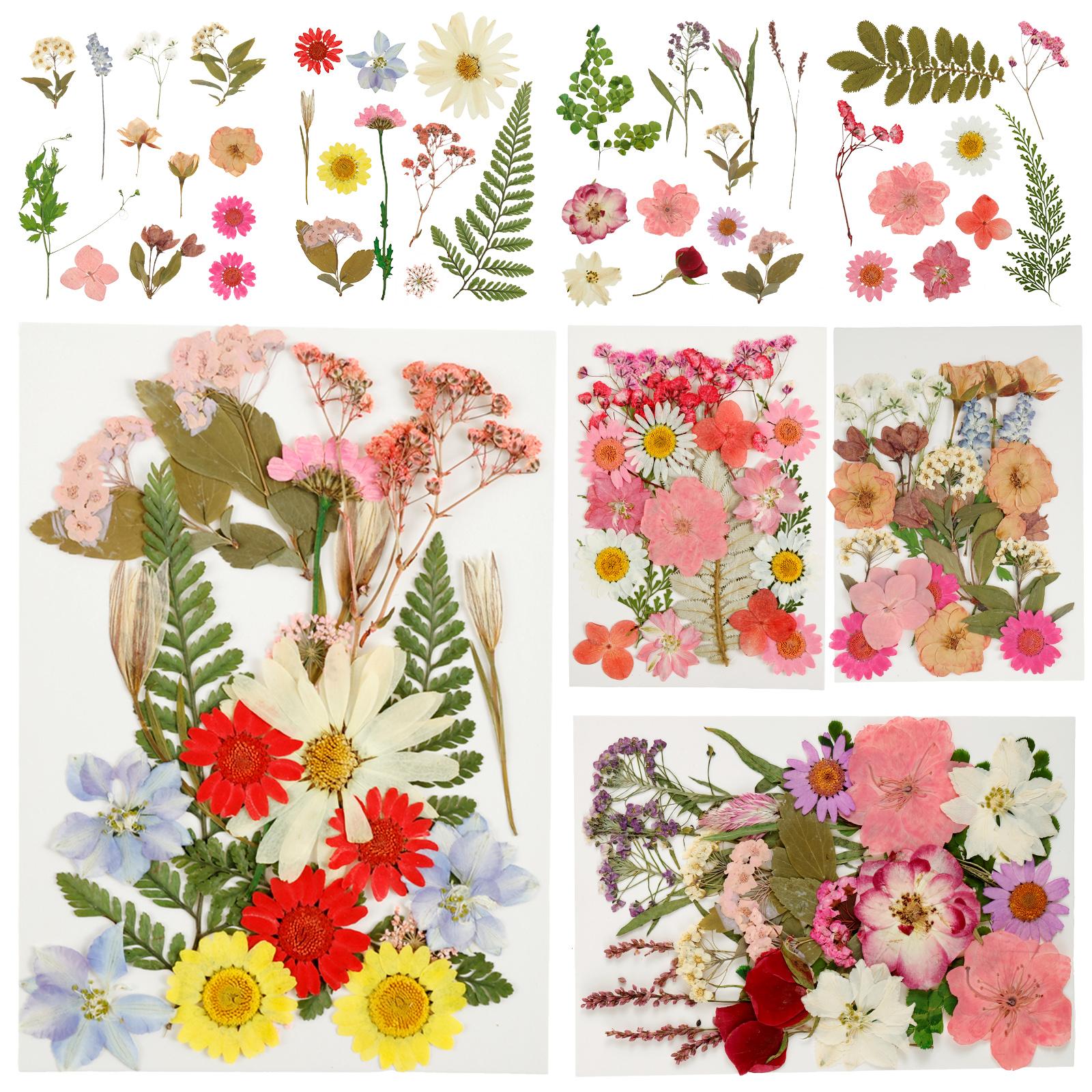 4Sheets Dried Flower DIY Bulk Scrapbooking Pressed Flower Resin Art Crafts Natural Dry Pressed Flowers Decor for Ornament Making