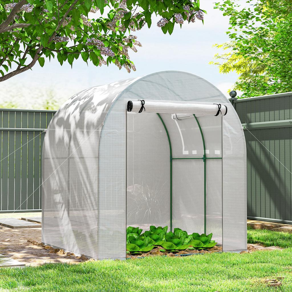 Walk In Polytunnel Greenhouse, Green House for Garden with Roll-up Window and Door, 1.8 X 1.8 X 2 M, White