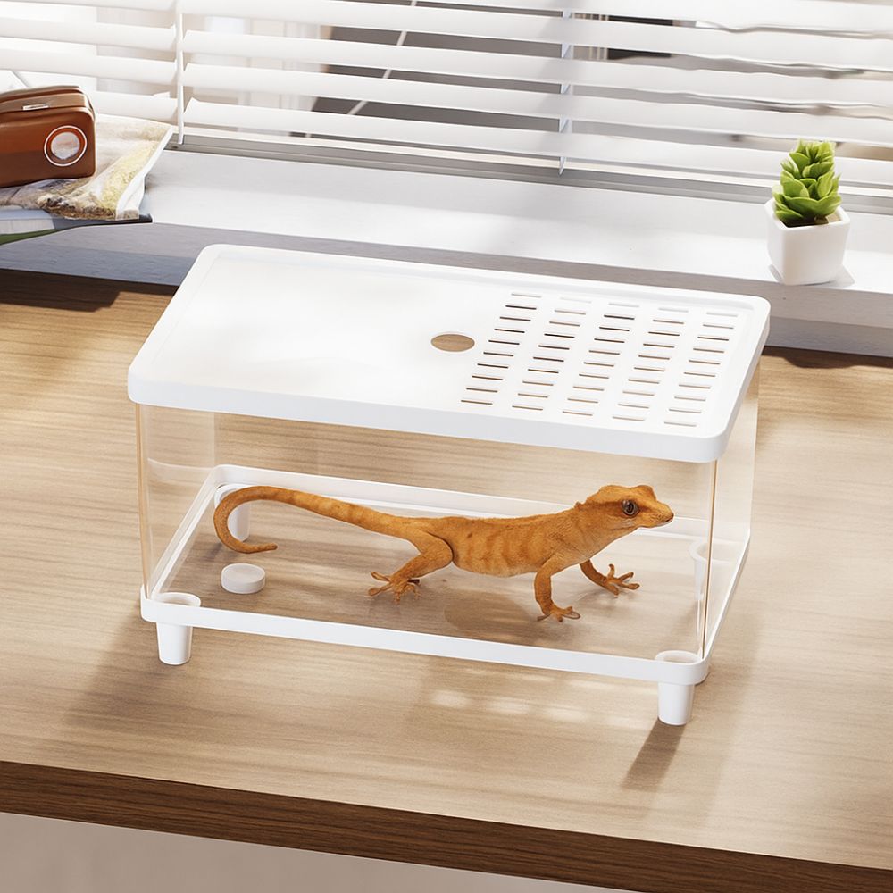 Transparent Lizard Breeding Box Breathable Insect Observation Box Reptile Terrarium  Amphibians