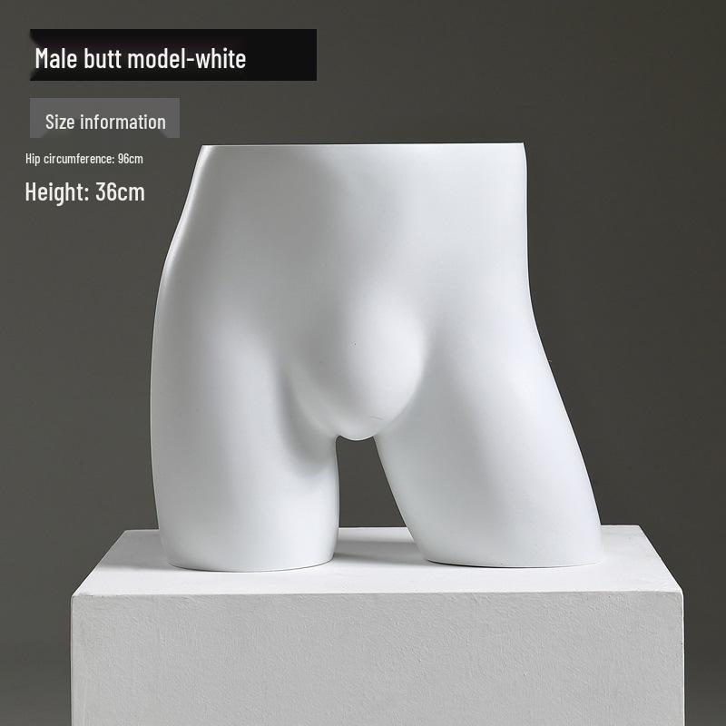 Female and Male Torso Mannequin Stand for Displaying Underwear and Bras