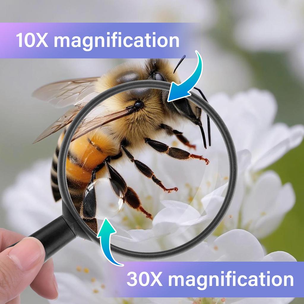 10x and 30x magnification handheld easy to 75mm convenient size for reading magnifier, large, see, lightweight, simple, diameter,