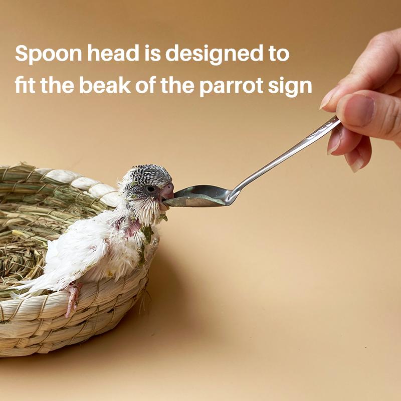 1pcs Stainless Stainless Feeder Bird Feeding spoon chick Feeding Spoon Pet Parrot Bird Cage Food Spoon Feeding Tools Supplies
