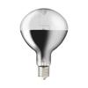 Iwasaki Electric Self-ballast Mercury Lamp 750W BHRF220V750WH
