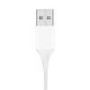 Pisen Apple Lightning To USB Fast Charging Cable