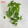Epipremnum Aureum Wall Mounted Hanging Basket For Home Decoration Styling Event