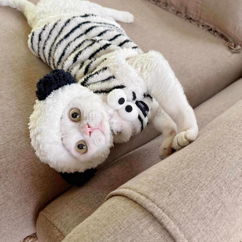Cat cat super cute three-dimensional decorative clothes striped sleeveless zebra pattern vest kitten hairless cat German cat autumn and winter