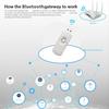ZigBee Tuya Smart Home Bluetooth Gateway U Disk Hub App Remote Control Timing Suitable for A1 Pro Max