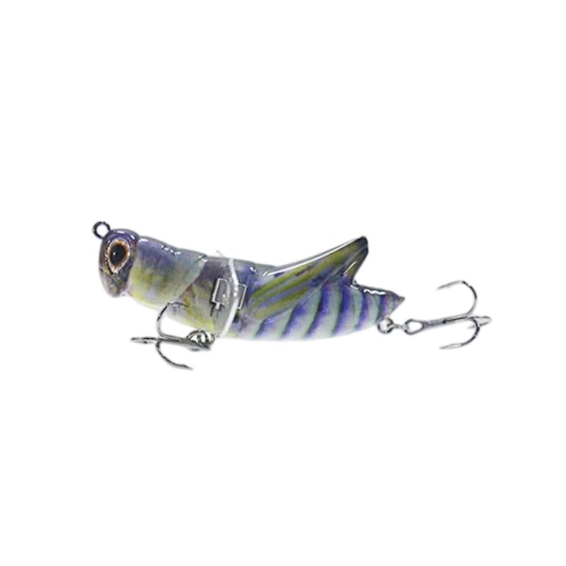 Professional 3D Eye Fishing Lures With Realistic Swimming Action Sea Fishing Tackles Artificial Crickets BaitS